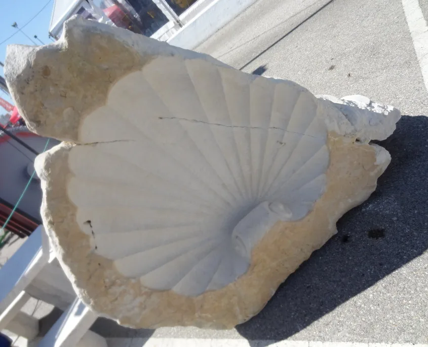 Mermaid & shell, photographic record